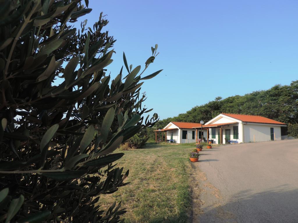 Agriturismo Sila Termoli Extérieur photo